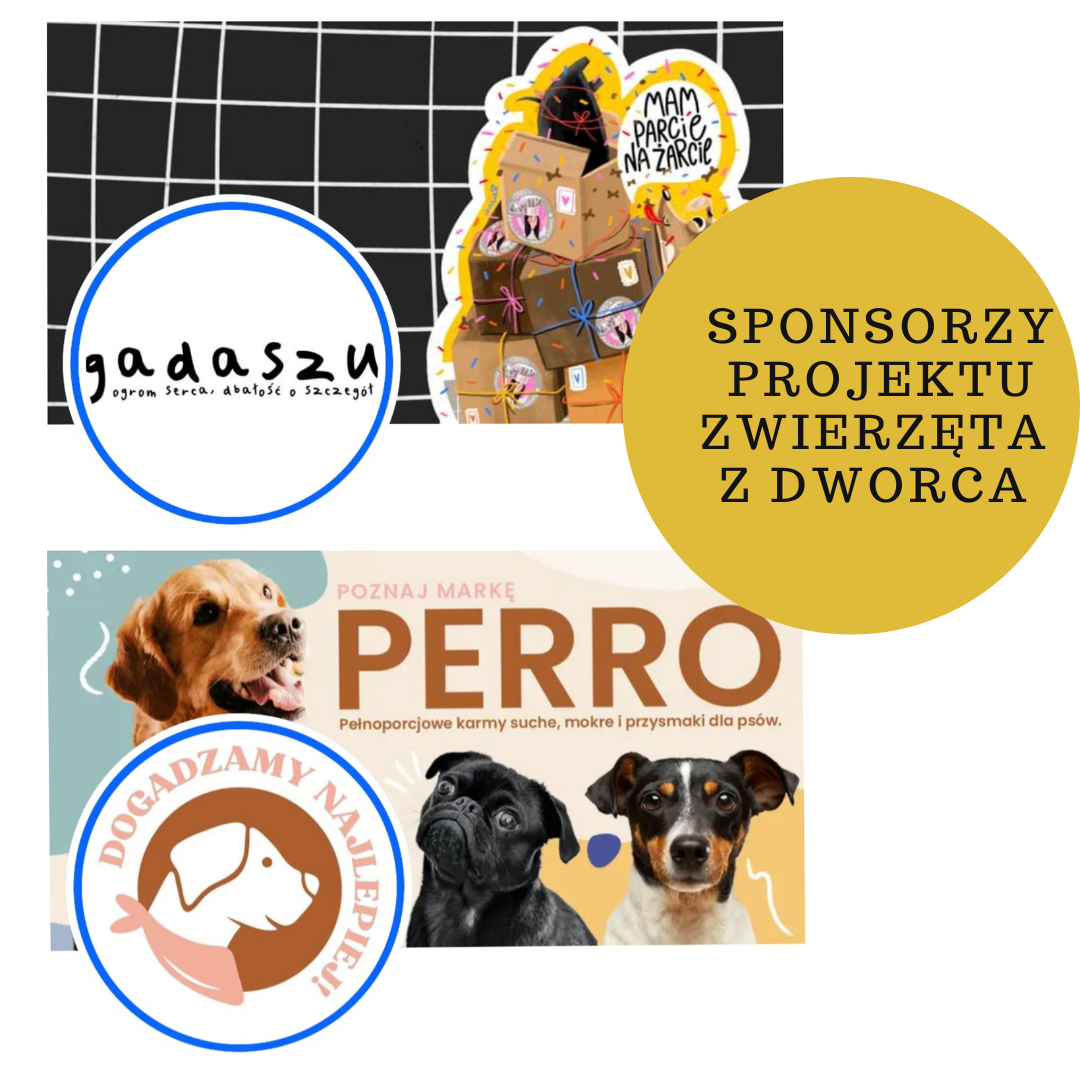 Gadaszu i Perro przyjaciele naszej Fundacji.