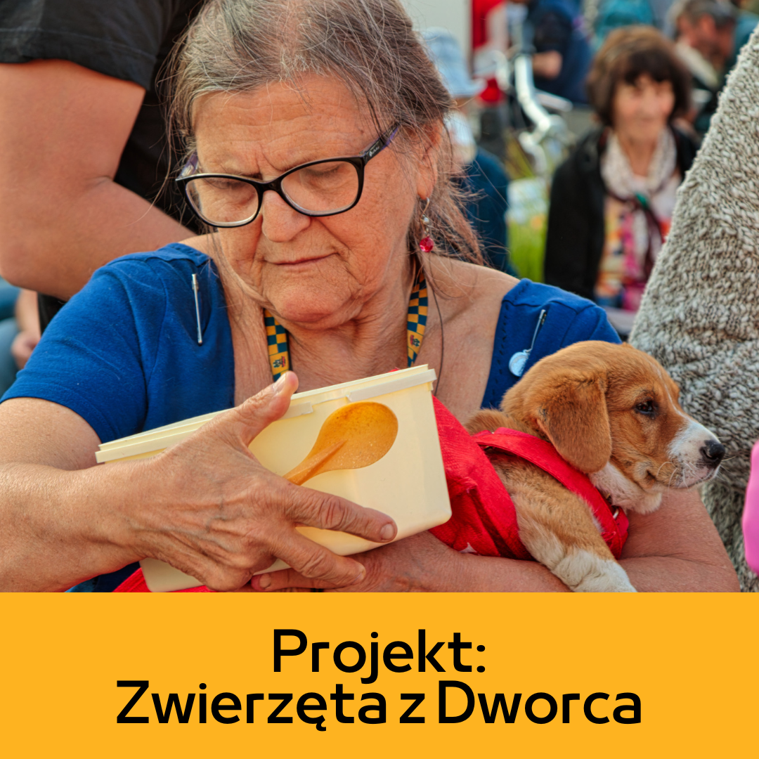 Kontynuacja Projektu: Zwierzęta z Dworca.