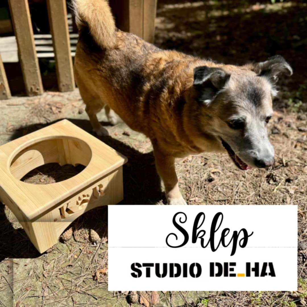 Sklep Studio DE_HA – miejsce z wyjątkowymi produktami.
