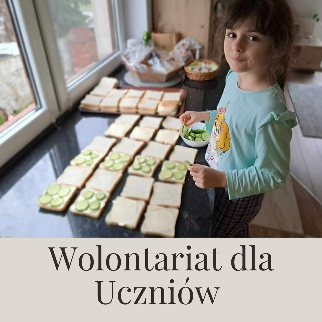 Zapraszamy Uczniów do działań wolontarystycznych.